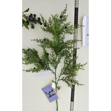 Dekorativní jalovcová větev NAFIRNE s bobulemi, zeleno-tmavě modrá, 65cm