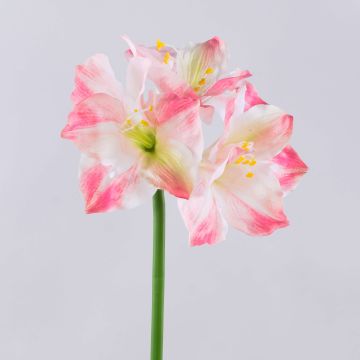 Umělá amarylis SARNUK, bílo-růžová, 80cm Umělá amarylis SARNUK, bílo-růžová, 80cm