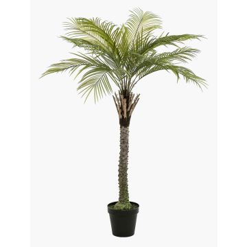 Umělá kokosová palma BOLON, 160 cm Umělá kokosová palma BOLON, 160 cm