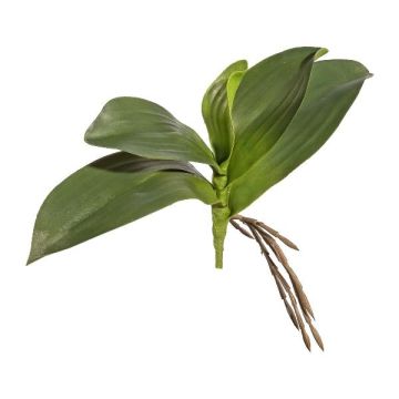 Orchidej Phalaenopsis BRULST umělé listy, tyč, kořeny, 25cm