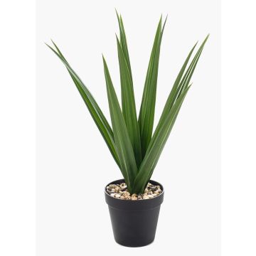 Umělá palma juka BAKVER, dekorativní květináč, křížová dvířka, 50cm