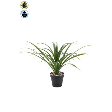Umělá palma Yucca rostrata POLLYANNA, dekorativní květináč, crossdoor, 35cm