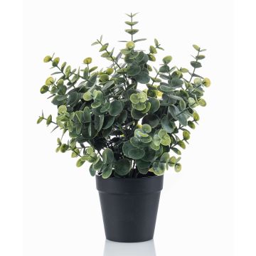 Umělý eukalyptus GLIWEN v dekorativním květináči, zelenošedý, 30cm