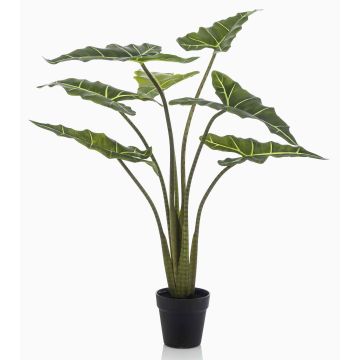 Umělá rostlina Alocasia Sanderiana MUNAY v dekorativním květináči, zelená, 100 cm Umělá rostlina Alocasia Sanderiana MUNAY v dekorativním květináči, zelená, 100 cm