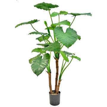 Umělá rostlina Alocasia calidora NOKJAN, zelená, 120cm Umělá rostlina Alocasia calidora NOKJAN, zelená, 120cm