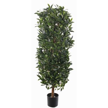 Umělý vavřínový sloup UNUK, pravý kmen, 205cm Umělý vavřínový sloup UNUK, pravý kmen, 205cm