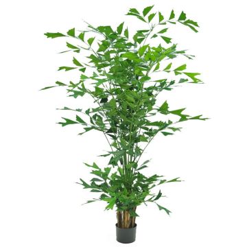 Umělá palma rybí ocas DRENIL, 240cm