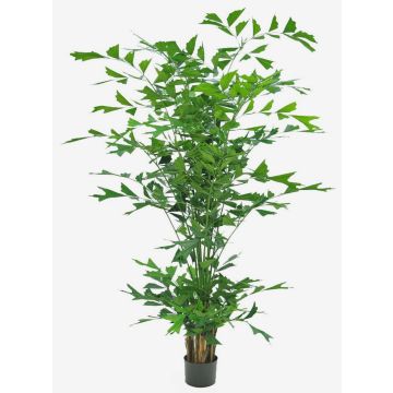 Umělá palma rybí ocas DRENIL, 240cm Umělá palma rybí ocas DRENIL, 240cm
