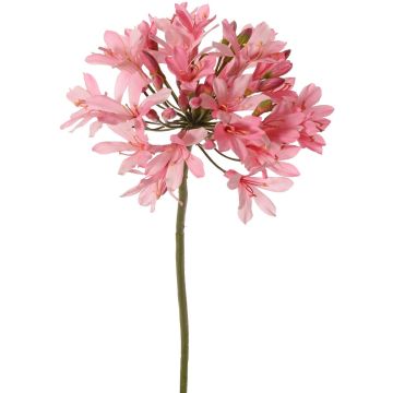Umělý květ agapanthu KAFENA, světle růžový, 90cm, Ø20cm Umělý květ agapanthu KAFENA, světle růžový, 90cm, Ø20cm
