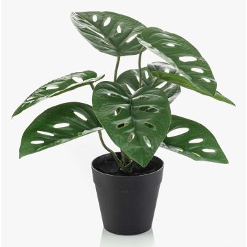 Umělá rostlina Philodendron monstera adansonii PRUMEX, dekorativní květináč, 28cm Umělá rostlina Philodendron monstera adansonii PRUMEX, dekorativní květináč, 28cm