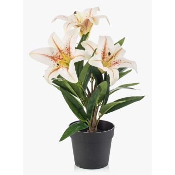 Umělá lilie YELTOR v dekorativním květináči, krémově růžová, 35cm Umělá lilie YELTOR v dekorativním květináči, krémově růžová, 35cm