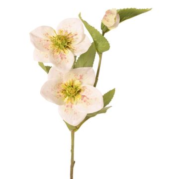 Umělá větev vánoční růže SUNMYN, krémová, 55cm, Ø8-10cm