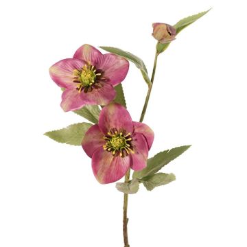 Umělá větev vánoční růže SUNMYN, fialová, 55cm, Ø8-10cm