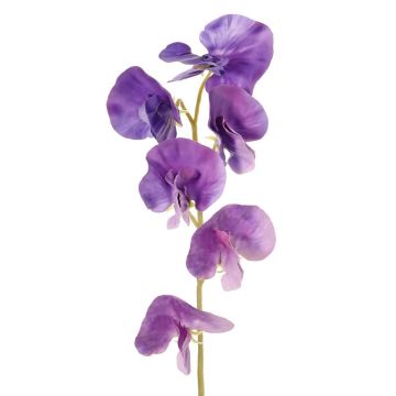 Umělá květina Lathyrus WAHNY, fialová, 35cm, Ø5cm Umělá květina Lathyrus WAHNY, fialová, 35cm, Ø5cm