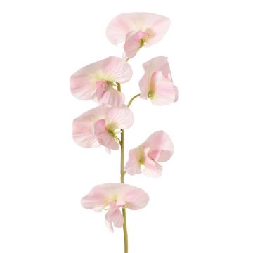 Umělá květina Lathyrus WAHNY, světle růžová, 35cm, Ø5cm Umělá květina Lathyrus WAHNY, světle růžová, 35cm, Ø5cm
