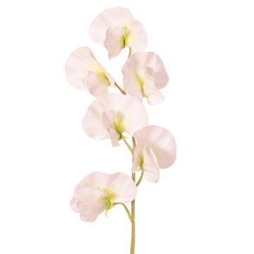 Umělá květina Lathyrus WAHNY, bílo-zelená, 35cm, Ø5cm Umělá květina Lathyrus WAHNY, bílo-zelená, 35cm, Ø5cm