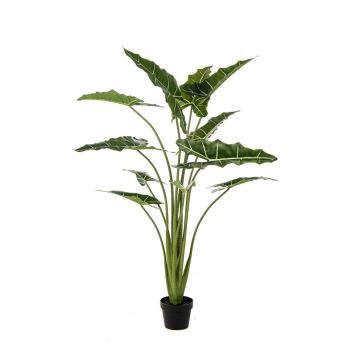 Umělá rostlina Alocasia Sanderiana MUNAY v dekorativním květináči, zelená, 140 cm Umělá rostlina Alocasia Sanderiana MUNAY v dekorativním květináči, zelená, 140 cm