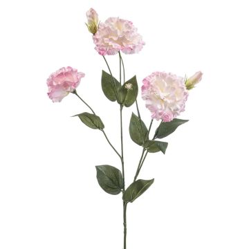 Umělá květina Lisianthus RENARA, růžovo-krémová, 75 cm Umělá květina Lisianthus RENARA, růžovo-krémová, 75 cm