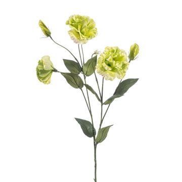 Umělá květina Lisianthus RENARA, světle zelená, 75 cm Umělá květina Lisianthus RENARA, světle zelená, 75 cm