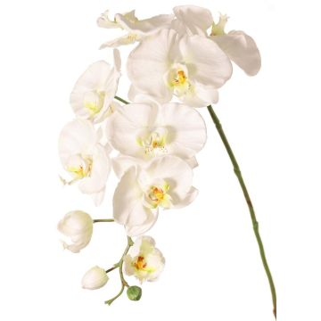 Dekorativní větvička orchideje Phalaenopsis WESA, bílá, 100cm