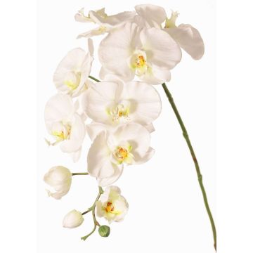 Dekorativní větvička orchideje Phalaenopsis WESA, bílá, 100cm