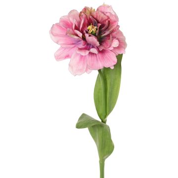 Umělý tulipán papoušek STEFANIE, tmavě růžový, 65cm, Ø13cm Umělý tulipán papoušek STEFANIE, tmavě růžový, 65cm, Ø13cm