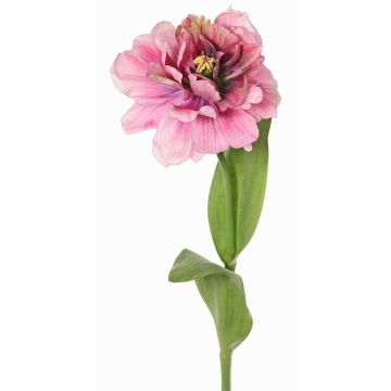 Umělý tulipán papoušek STEFANIE, tmavě růžový, 65cm, Ø14cm Umělý tulipán papoušek STEFANIE, tmavě růžový, 65cm, Ø14cm