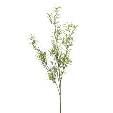 Umělá větvička Asparagus sprengeri SAMBENO, zelená, 80cm