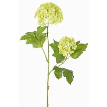 Umělá větev sněhové koule FINDALS, světle zelená, 60cm, Ø6-9cm Umělá větev sněhové koule FINDALS, světle zelená, 60cm, Ø6-9cm