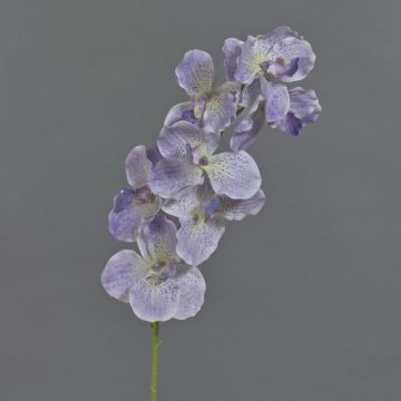 Umělá větvička orchideje Vanda LODON, světle fialovo-bílá, 75cm Umělá větvička orchideje Vanda LODON, světle fialovo-bílá, 75cm