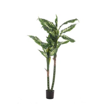 Umělá rostlina Dieffenbachia LATRIXA, zelenobílá, 150cm