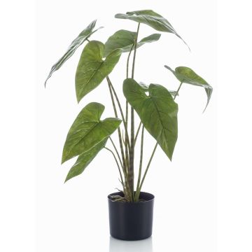 Umělá rostlina Alocasia Zebrina LEFKA s kořeny, zelená, 75cm Umělá rostlina Alocasia Zebrina LEFKA s kořeny, zelená, 75cm