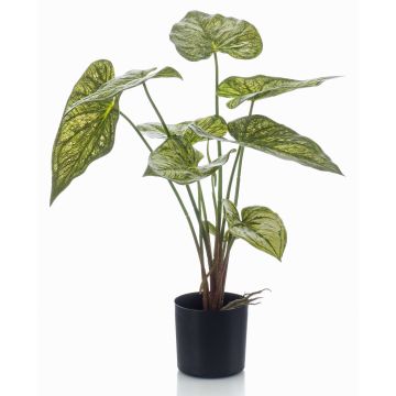 Caladium YAWAR umělá rostlina s kořeny, zelenožlutá, 60cm Caladium YAWAR umělá rostlina s kořeny, zelenožlutá, 60cm
