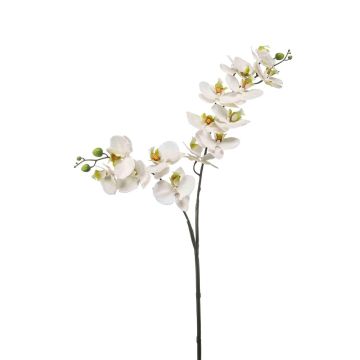 Umělá větev orchideje Phalaenopsis WANTA, bílá, 100cm Umělá větev orchideje Phalaenopsis WANTA, bílá, 100cm