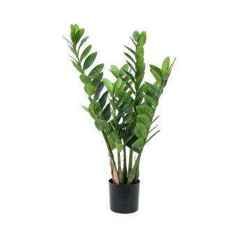 Umělá rostlina zamioculcas zamiifolia AKELA, 70cm Umělá rostlina zamioculcas zamiifolia AKELA, 70cm