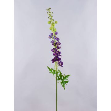 Pravá květina delphinium RADUNIA, fialová, tmavě lila, 110cm, Ø2,5-7cm Pravá květina delphinium RADUNIA, fialová, tmavě lila, 110cm, Ø2,5-7cm
