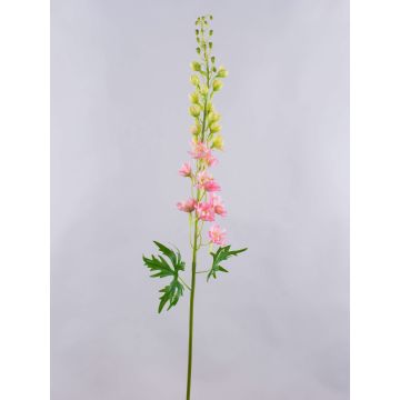 Pravá květina delphinium RADUNIA, růžová, 110cm, Ø2,5-7cm Pravá květina delphinium RADUNIA, růžová, 110cm, Ø2,5-7cm
