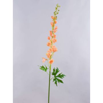 Pravý květ delphinium RADUNIA, meruňka, 110cm, Ø2,5-7cm Pravý květ delphinium RADUNIA, meruňka, 110cm, Ø2,5-7cm