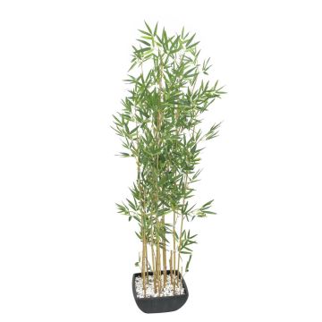 Umělý bambus YUKIKO, přírodní kmeny, v dekorační míse, 150cm Umělý bambus YUKIKO, přírodní kmeny, v dekorační míse, 150cm