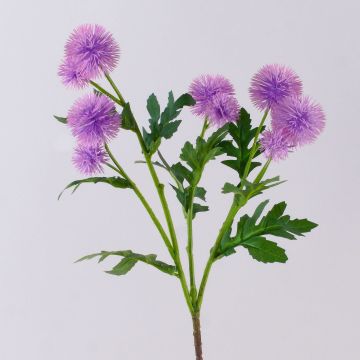 Umělá květina bodlák TRAUDLINDE, fialová, lila, 55cm, Ø3-4cm Umělá květina bodlák TRAUDLINDE, fialová, lila, 55cm, Ø3-4cm