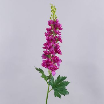 Umělá květina delfinium ZIRKAN, růžová, fuchsiová, 75cm, Ø9cm Umělá květina delfinium ZIRKAN, růžová, fuchsiová, 75cm, Ø9cm
