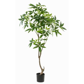 Umělý strom pachira CANTSA, umělý kmen, 150cm Umělý strom pachira CANTSA, umělý kmen, 150cm