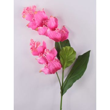 Umělá květinová větev Medinilla LASENTER, růžová, 110cm