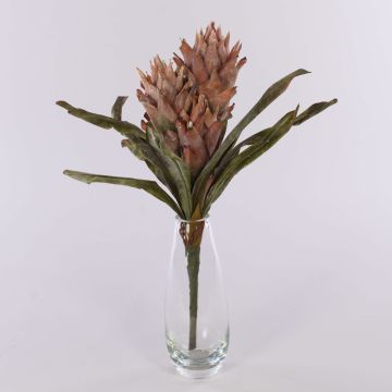 Sametová Guzmania WALFRIEDE na tyči, tmavě růžová, 50cm Sametová Guzmania WALFRIEDE na tyči, tmavě růžová, 50cm