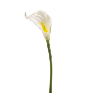 Umělá kala TEMBANA, bílá, 65 cm Umělá kala TEMBANA, bílá, 65 cm