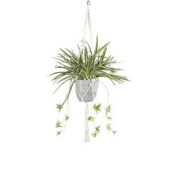 Dekorativní zelená lilie, makramé závěsná květina SIMBO v květináči, zeleno-bílá, 90 cm