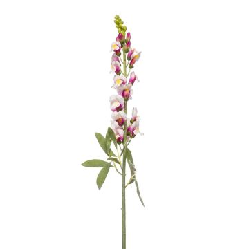 Umělá květina snapdragon LIMORG, krémově růžová, 80cm Umělá květina snapdragon LIMORG, krémově růžová, 80cm