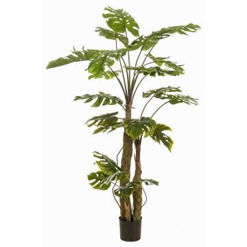 Umělá rostlina Philodendron monstera deliciosa KORVEX, vzdušné kořeny, 180cm Umělá rostlina Philodendron monstera deliciosa KORVEX, vzdušné kořeny, 180cm