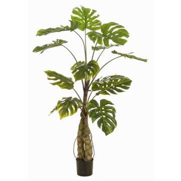 Umělá rostlina Philodendron monstera deliciosa KORVEX, vzdušné kořeny, 150cm