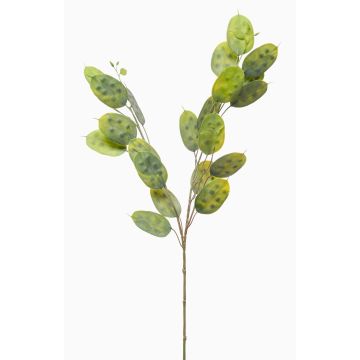 Umělá větev Lunaria JUDITHA, zelená, 70cm Umělá větev Lunaria JUDITHA, zelená, 70cm